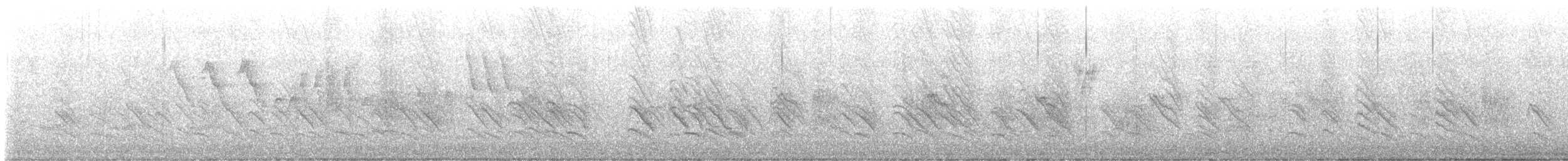 vlaštovka pestrá [skupina pyrrhonota] - ML621294807
