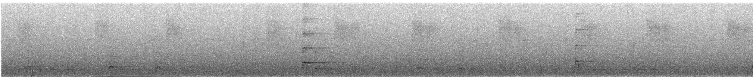 Band-tailed Guan - ML621295931