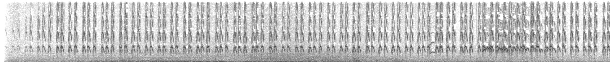 Downy Woodpecker - ML621299913