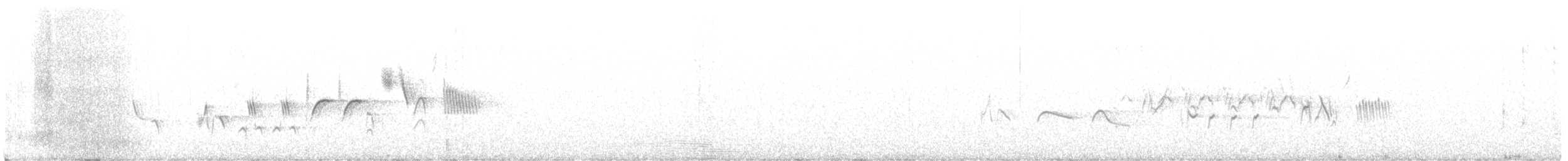 strnadec kaštanový [skupina megarhyncha] - ML621302459