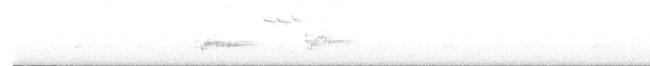 European Robin - ML621304227