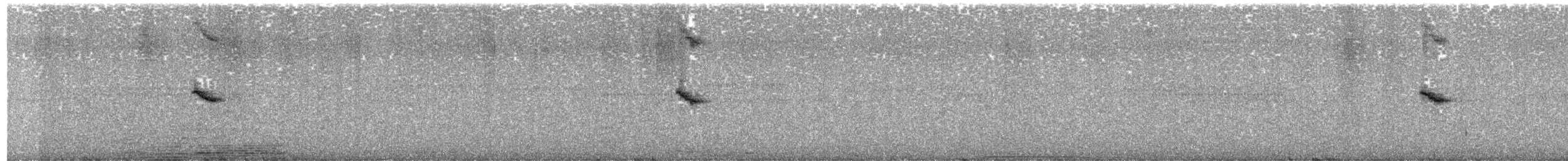 Stuhlmann's Sunbird - ML621305134