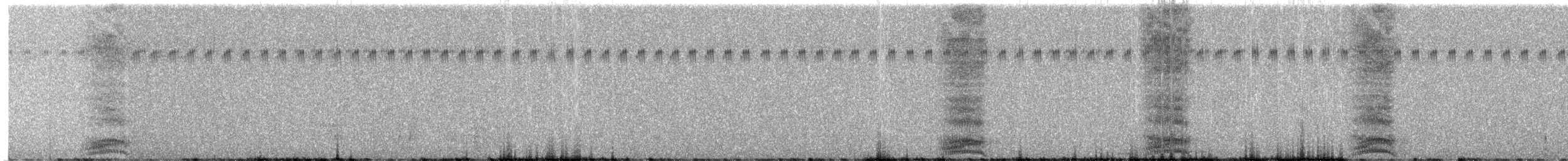 White-necked Raven - ML621305328