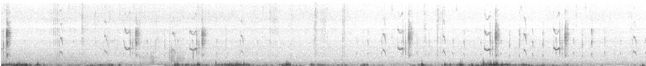 Gray-backed Tachuri - ML621308239
