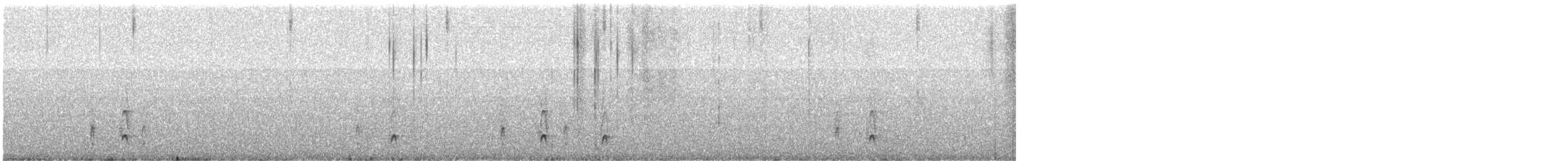 Shear-tailed Gray Tyrant - ML621308349
