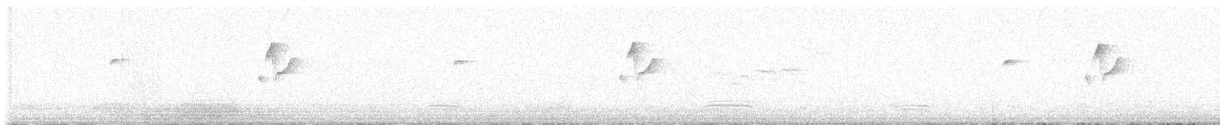 Western Flycatcher - ML621314997