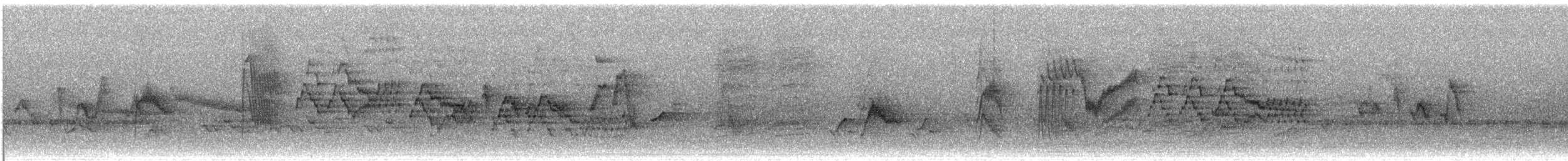 Gray-cheeked Thrush - ML621316078