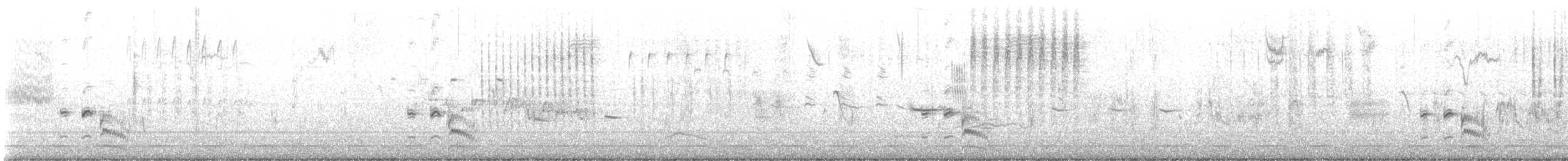 Black Rail - ML621316287