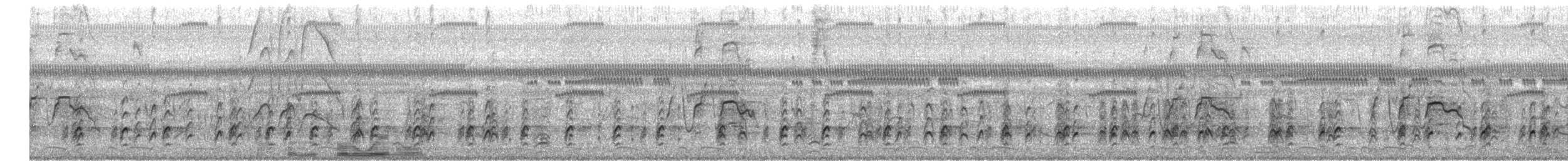 Black-necked Stilt - ML621320631