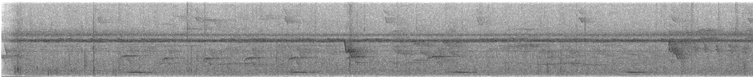 holub panamský - ML621321738
