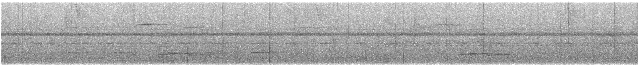 holub panamský - ML621321757