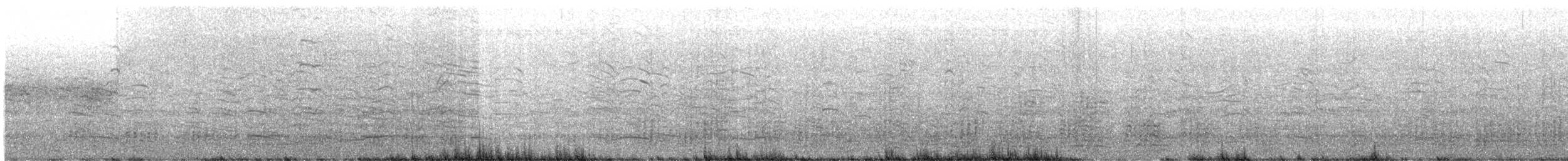 Sümsük - ML621322473