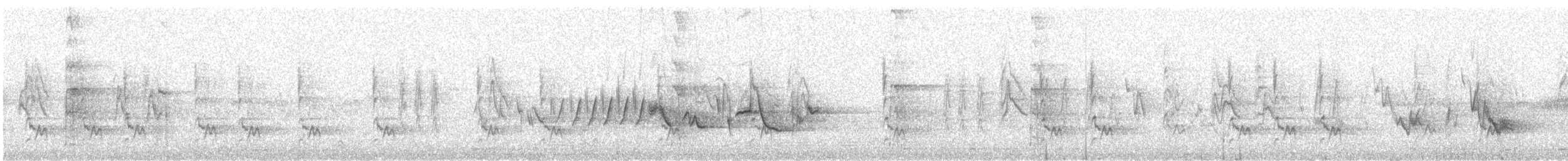 Pic chevelu - ML621325392