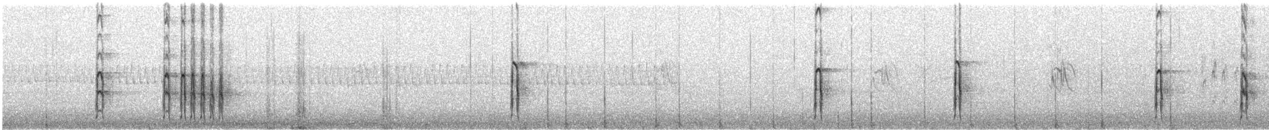 Pic chevelu - ML621325698