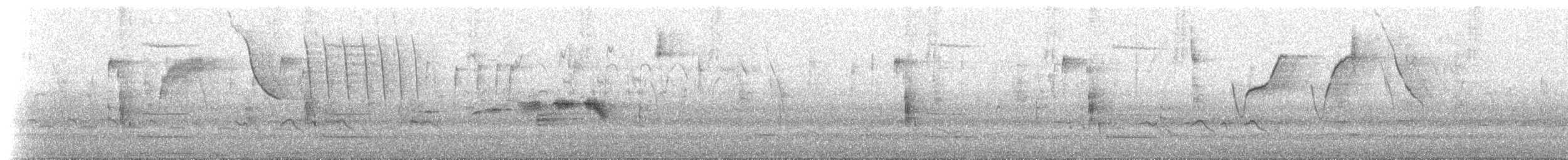 Gray-and-gold Warbler - ML621328791
