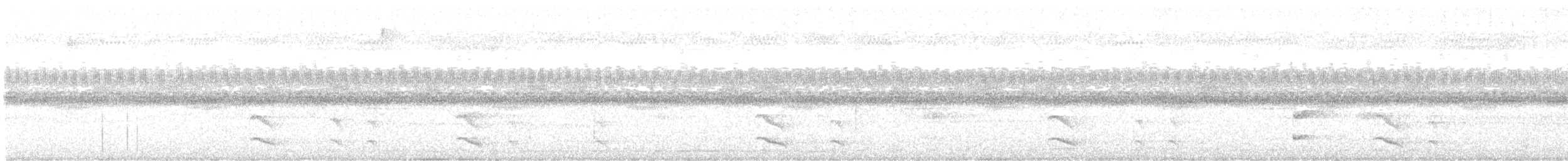 Toucan tocard (ambiguus/abbreviatus) - ML621332170