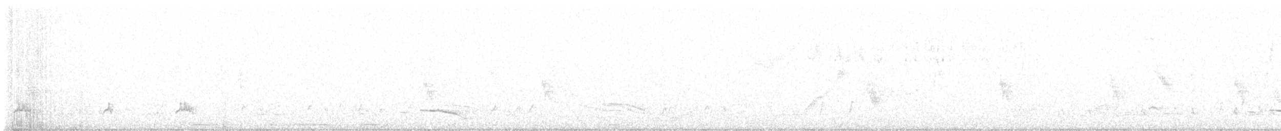 Spotless Starling - ML621336133