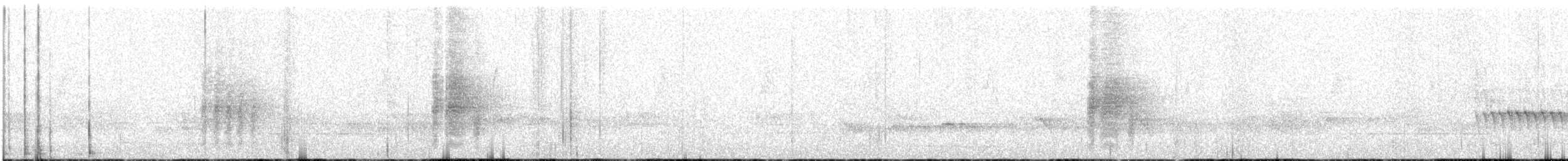 Burmese Shrike - ML621336400