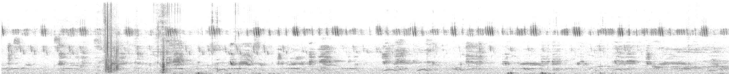 נחשון אסייתי - ML621339080