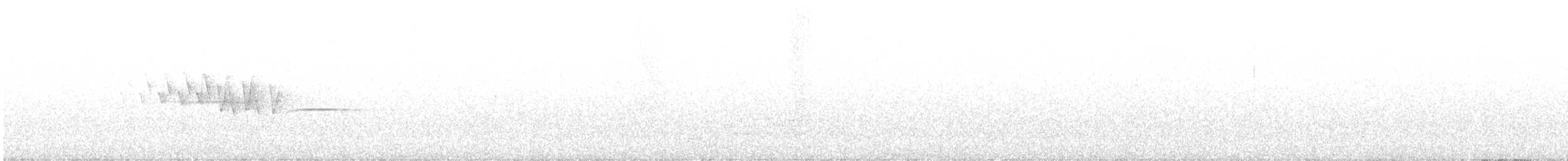 Yellow-rumped Warbler - ML621340193