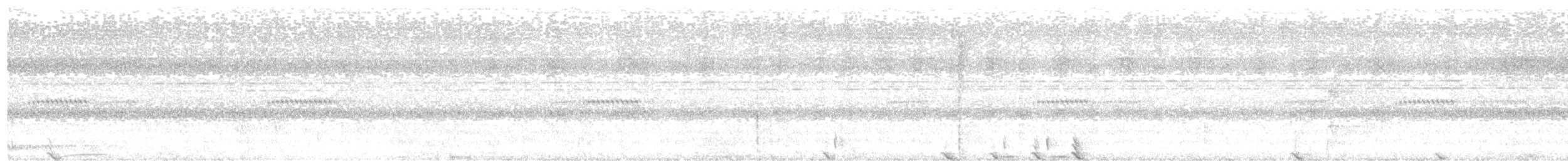 Faisan de Vieillot - ML621340960