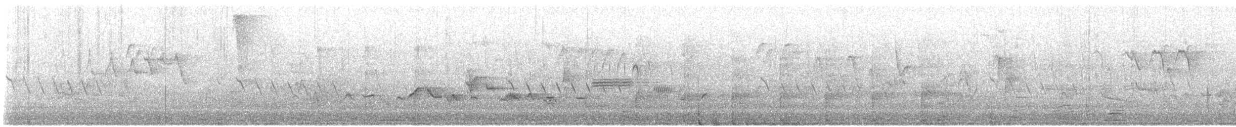 Eastern Warbling Vireo - ML621346701