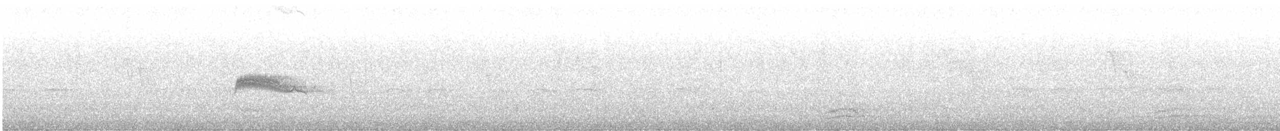 Western Wood-Pewee - ML621352580
