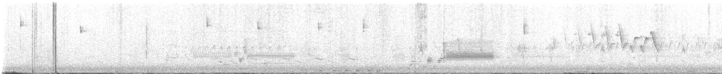 Least Bittern - ML621353061