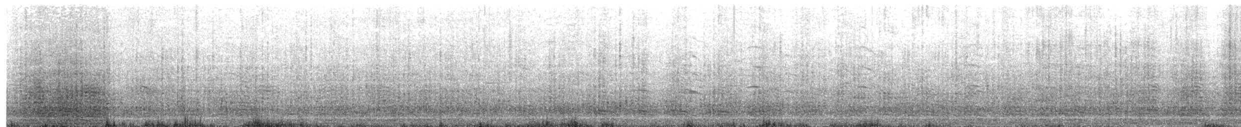 Sümsük - ML621360220