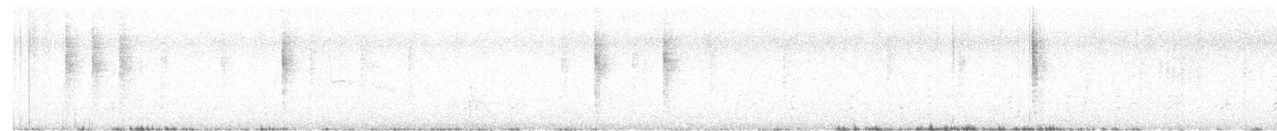 svartkronestylteløper (knudseni) - ML621360575