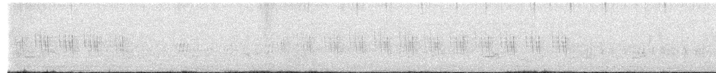 Striped Prinia - ML621364139