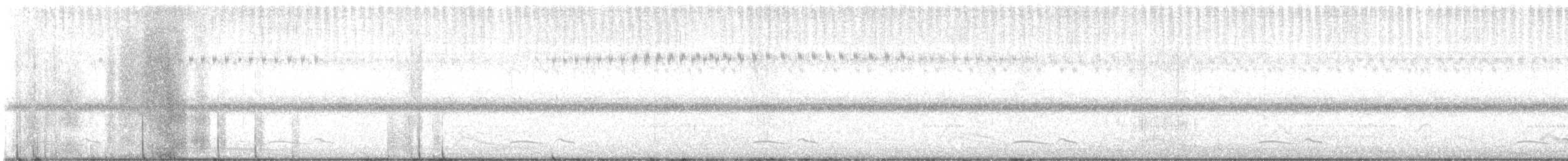 Common Poorwill - ML621365859