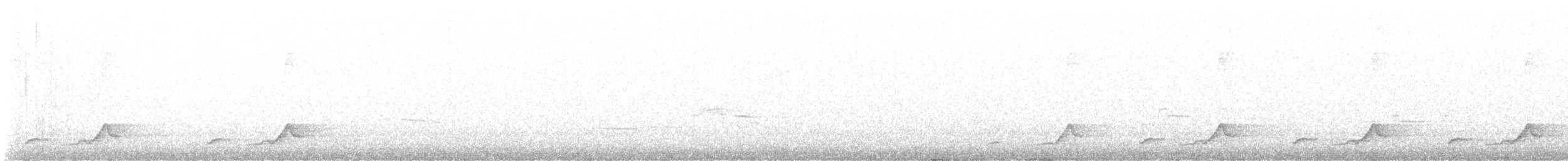 Schwarzkehl-Nachtschwalbe - ML621370065