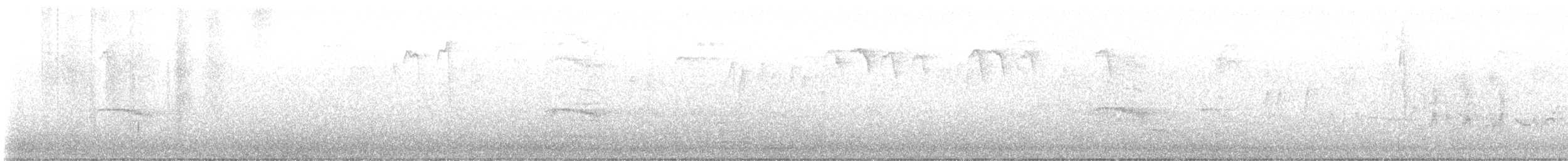 lesňáček černobílý - ML621371134