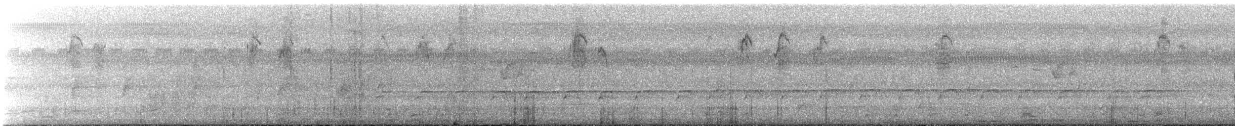 Common Black Hawk - ML621372431