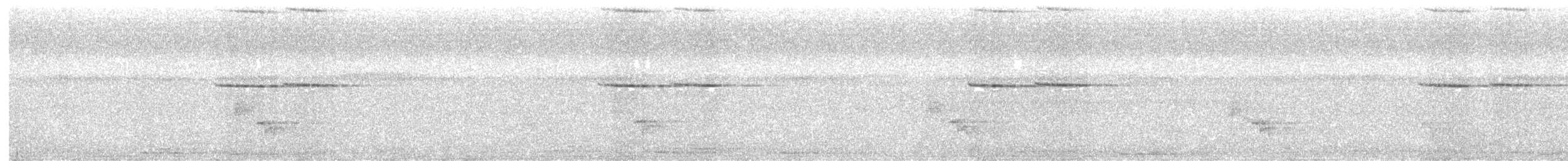 Вилохвістка білочуба (підвид leschenaulti) - ML621373013