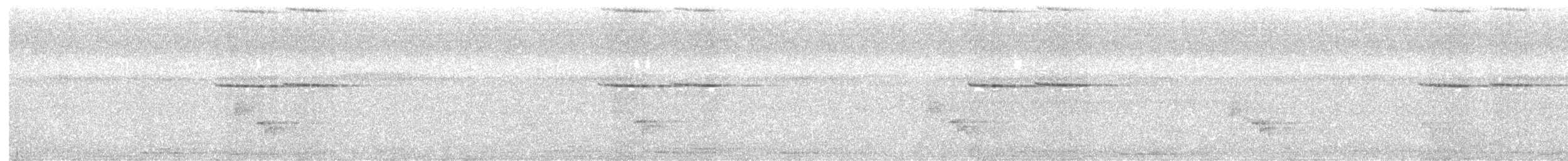 White-crowned Forktail (Javan) - ML621373013