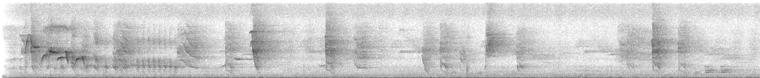 Spot-breasted Wren - ML621376579