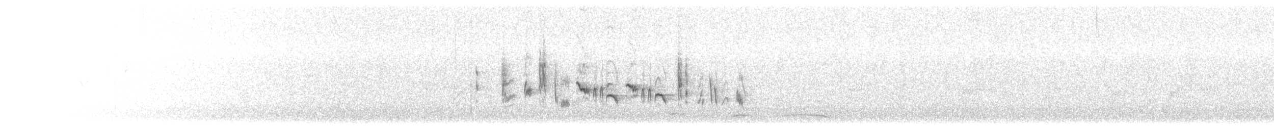 Klappergrasmücke (althaea) - ML621378137