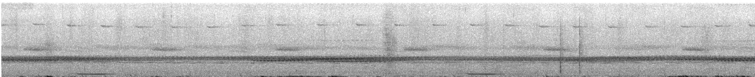 オオウズラバト（linearis） - ML621379630