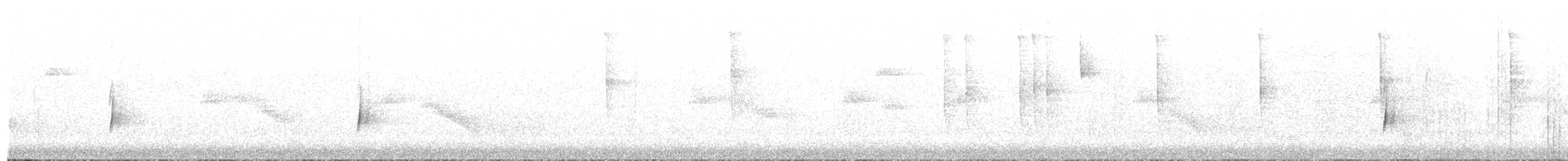 Pine Flycatcher - ML621379704