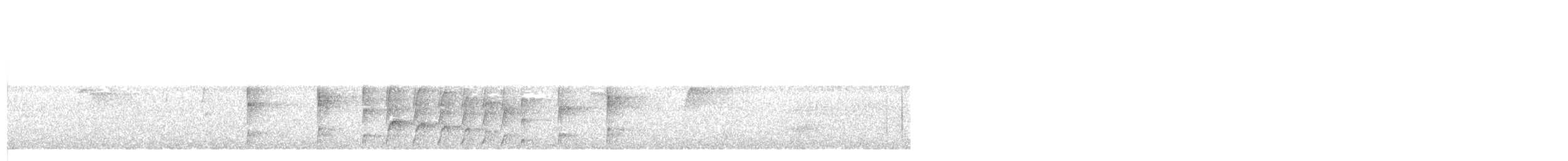 Todirostre noir et blanc - ML62138001