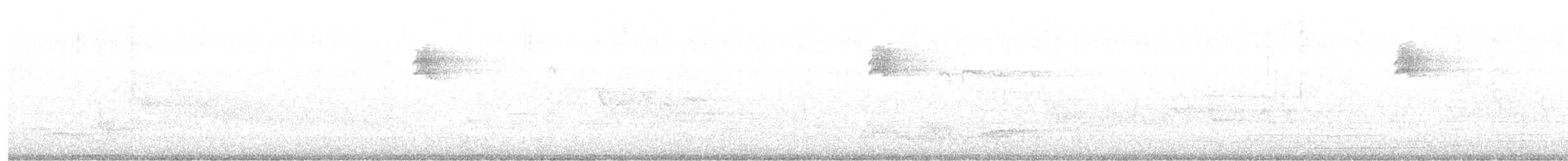 gråfluesnapper - ML621380061