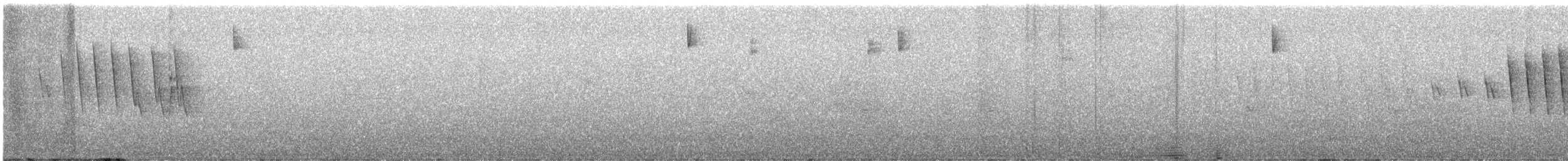 Wilson's Warbler (chryseola) - ML621380071