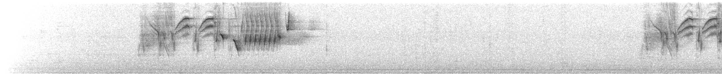 Zuckervogel [flaveola-Gruppe] - ML621380467