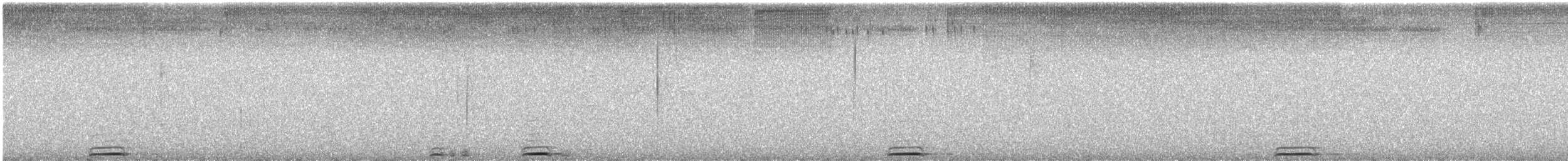 Petit-duc nain - ML621381715