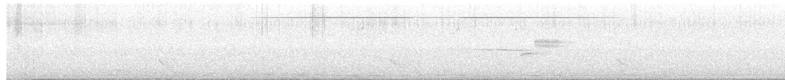 Black-throated Green Warbler - ML621382013