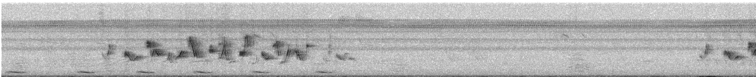 Gray-crowned Yellowthroat - ML621385508