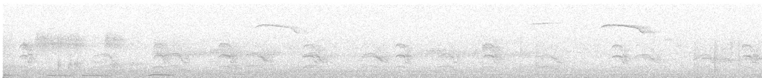 Common Tern - ML621385650