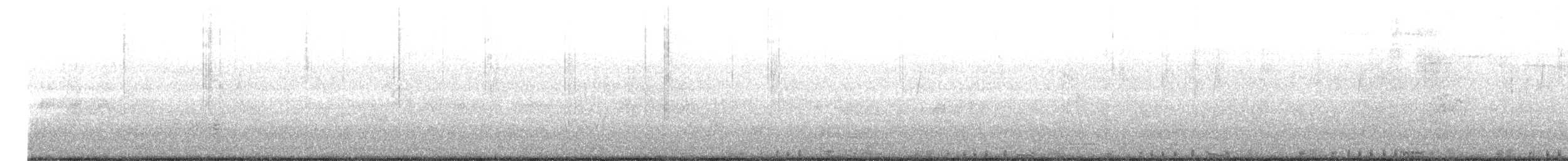 holub skalní (domácí) - ML621386288